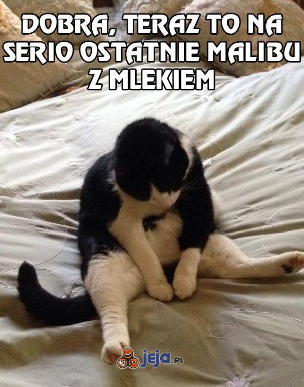 Ostatnie malibu z mlekiem