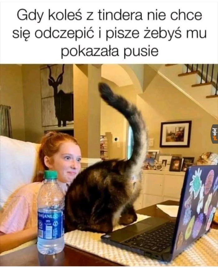 Proszę bardzo