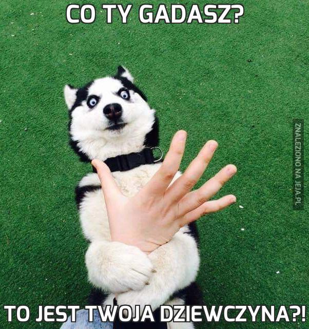 Co ty gadasz?