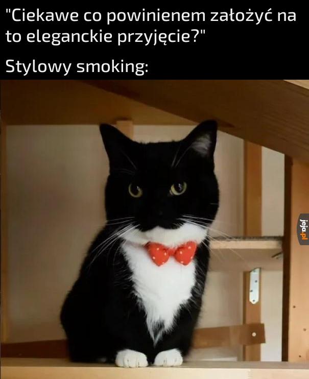Świetny wybór