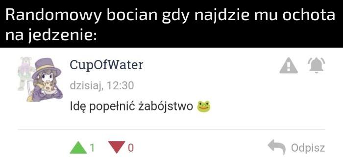 Bociek
