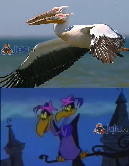 On istnieje!