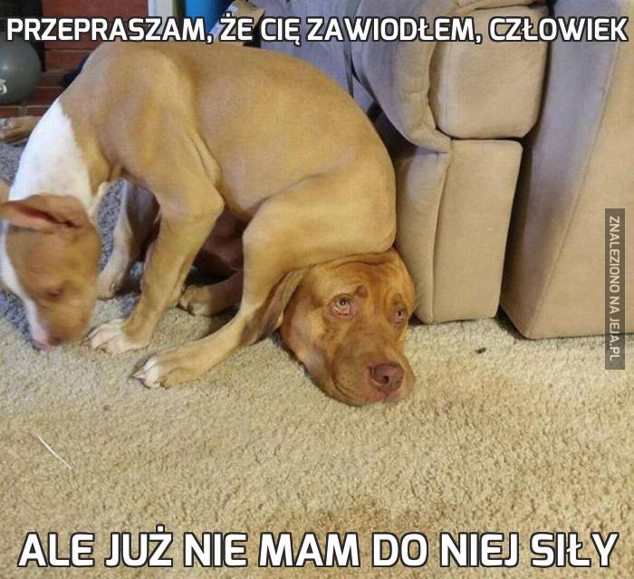 Przepraszam, że cię zawiodłem, człowiek