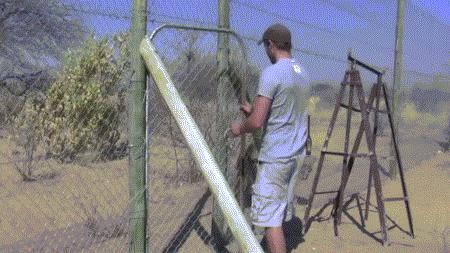 Kotek się stęsknił!
