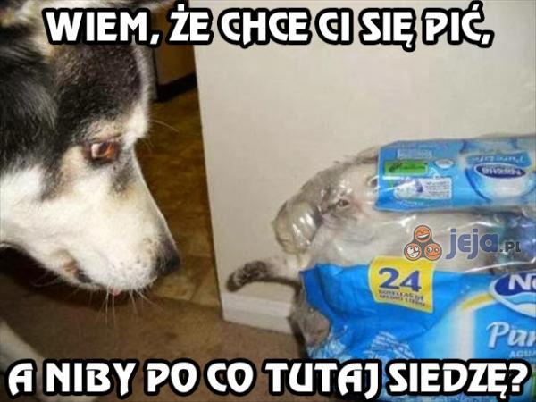 Wiem, że chce Ci się pić