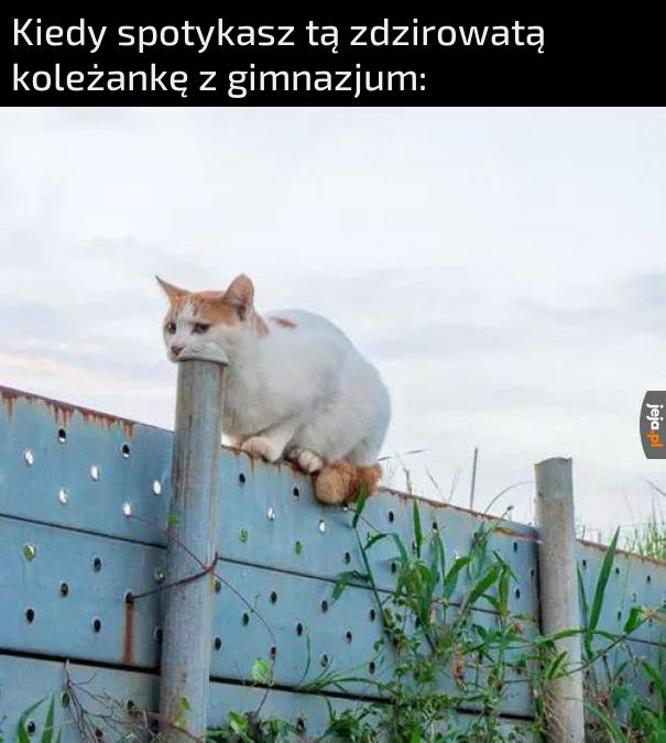 Nic się nie zmieniła