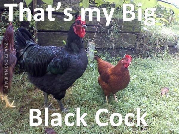 ,,Big black cock''