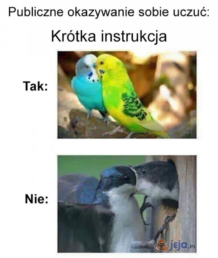 Okazywanie uczuć w miejscu publicznym