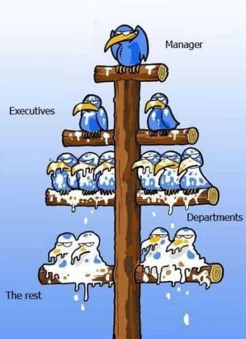 Hierarchia w firmie