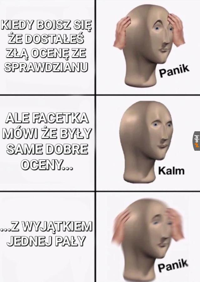 Jeszcze tylko 2 tygodnie i powrót do ukochanych murów