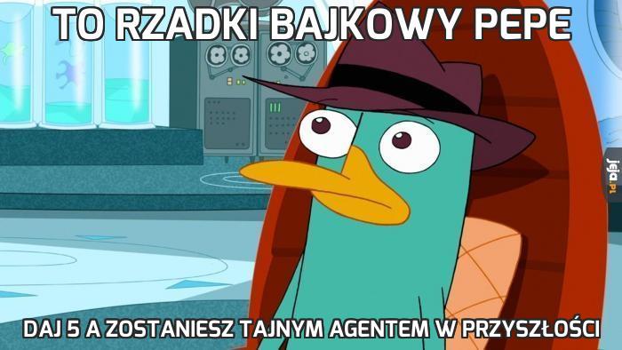 To rzadki bajkowy pepe