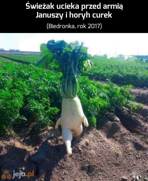 Tak było