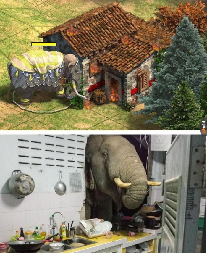 Nie ma czasu na obiad, to czas na podbicie Rzymu