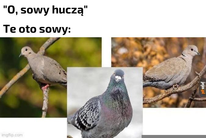 Łatwo się pomylić