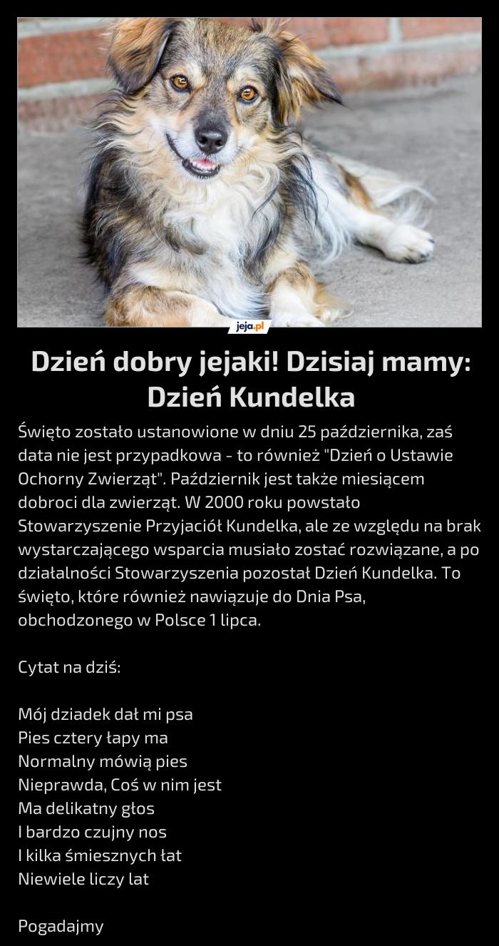 Dzień dobry jejaki! Dzisiaj mamy: Dzień Kundelka