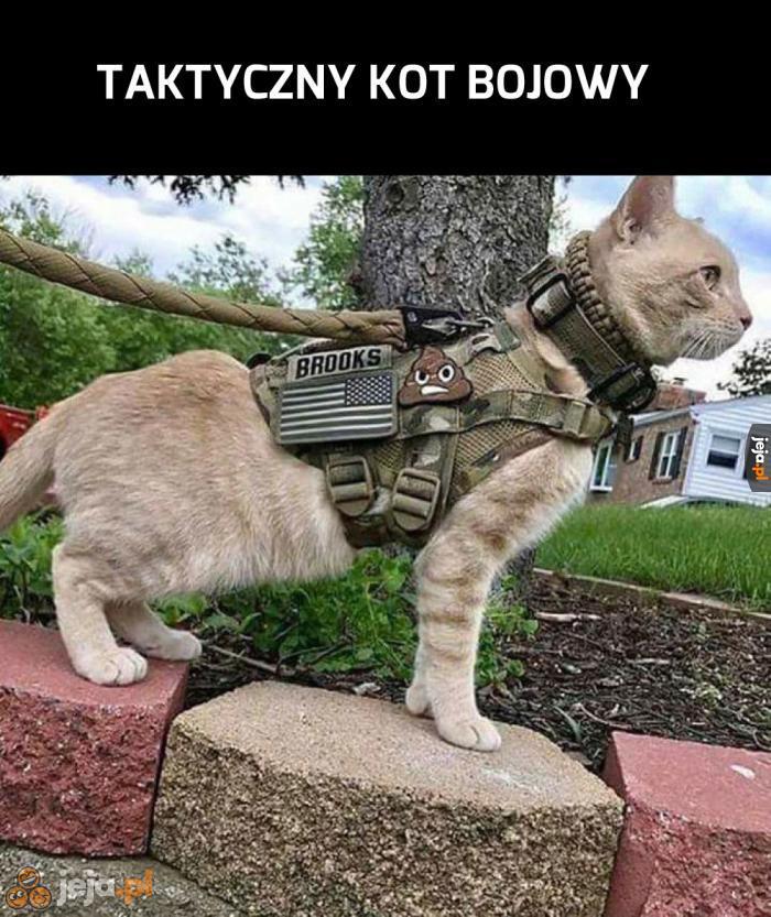 Nasza armia go potrzebuje