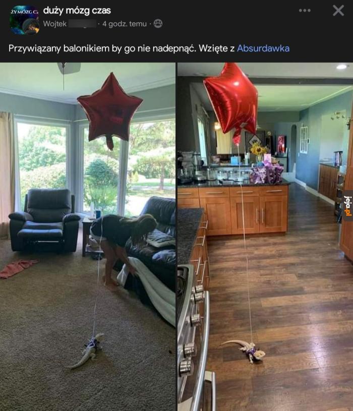 Nie nadepnij na jaszczura