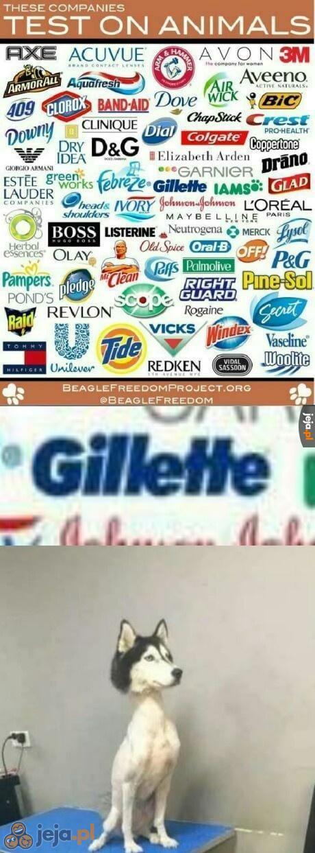 Pies vs Gillette