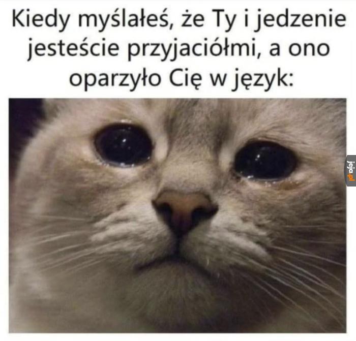 Zdrada