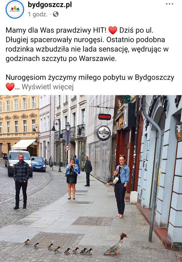 Tylko czemu akurat Bydgoszcz?