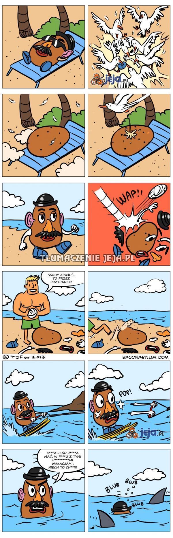 Pan Kartofel i pechowe wakacje