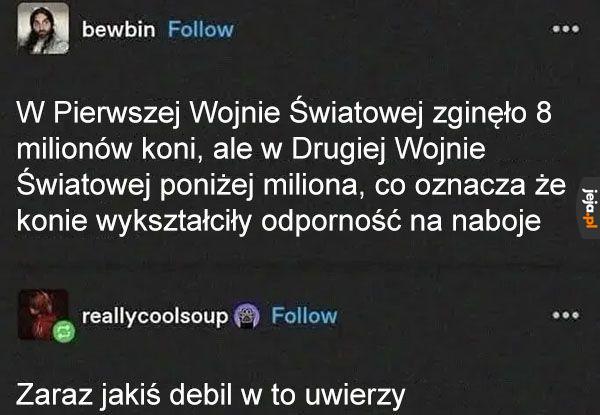 Logiczne wnioski