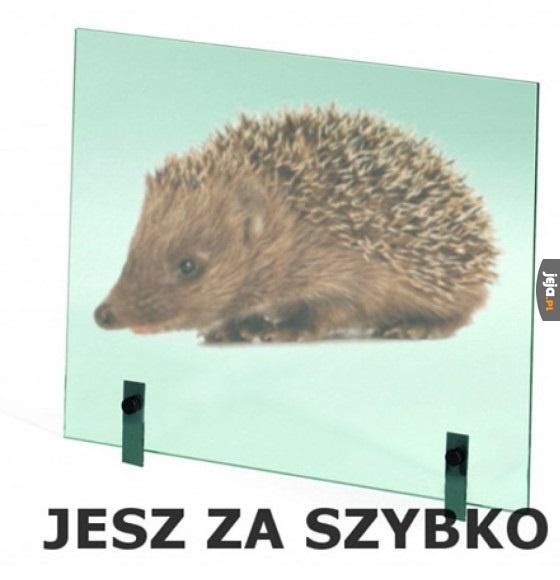 Jeż