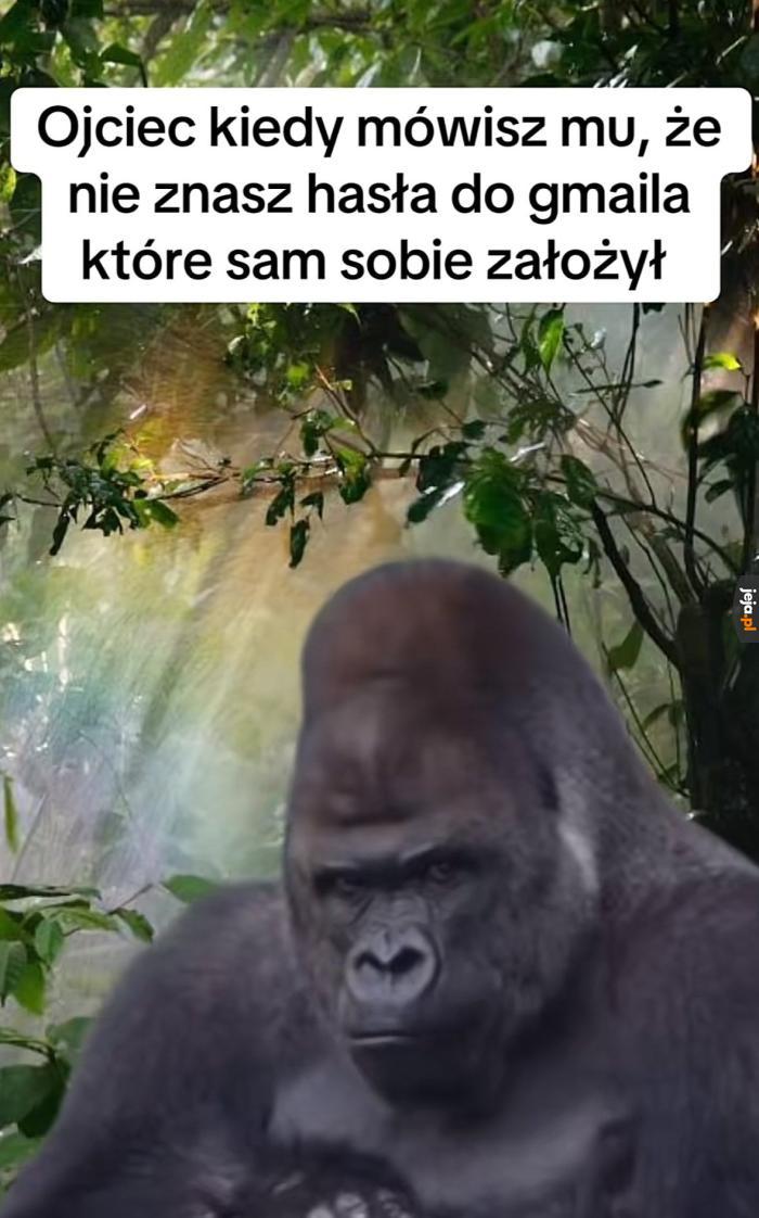 Bezczelny