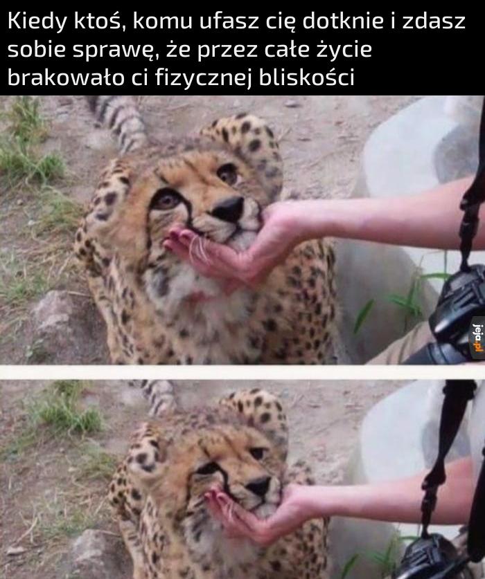 To jak zapach jedzenia dla głodującego