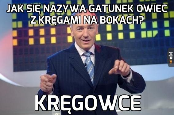 Owce z kręgami na bokach to...