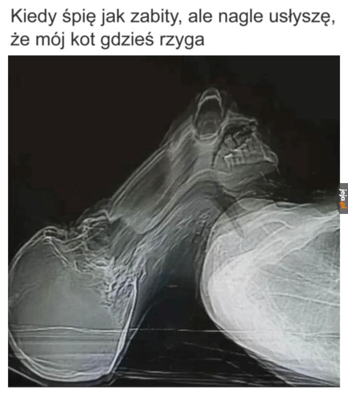 Zapewne na dywanie