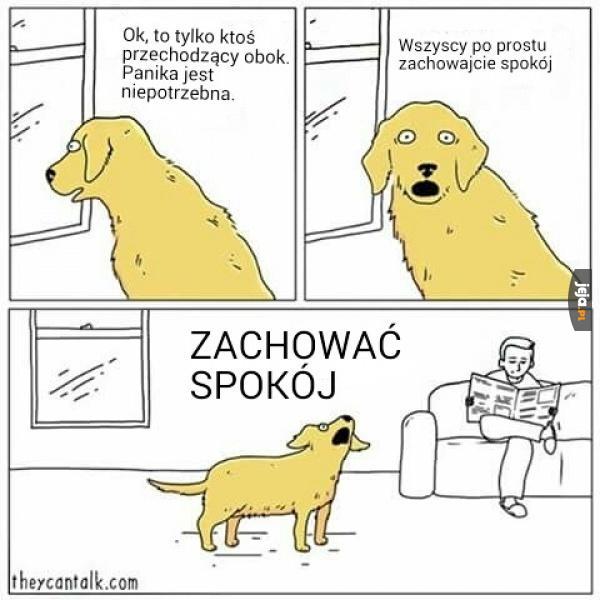 Tylko bez paniki!