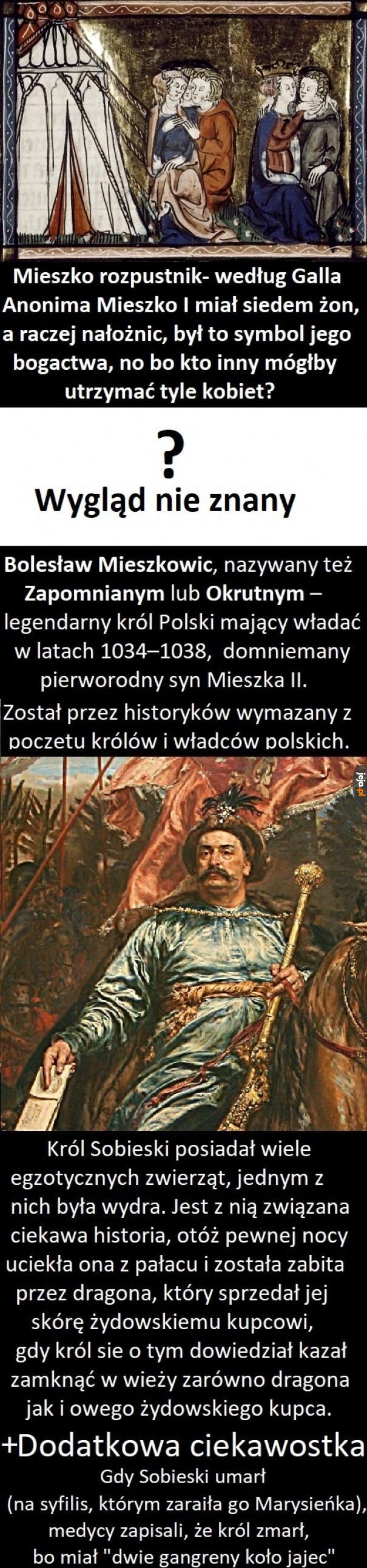 Ciekawostki o władcach i królach Polskich
