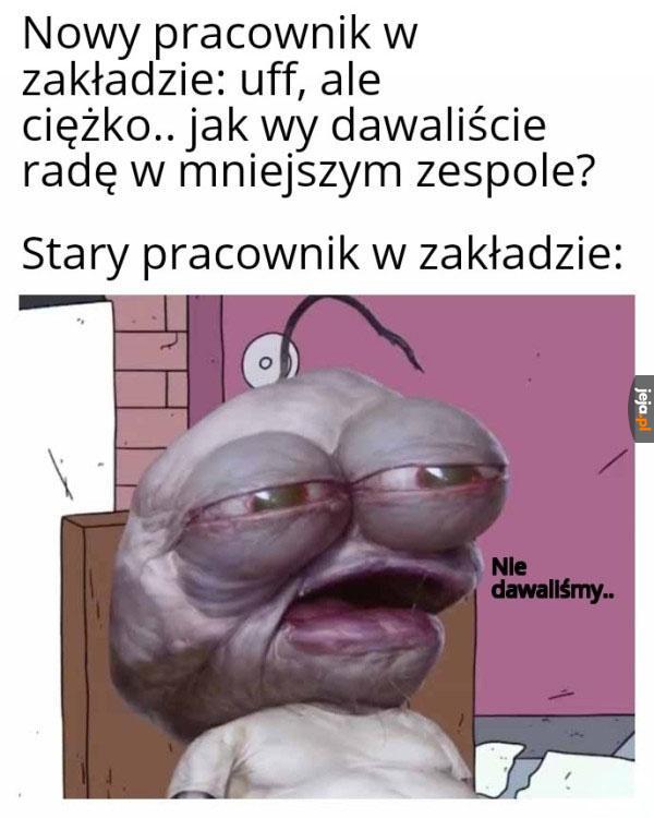 Doświadczony leń