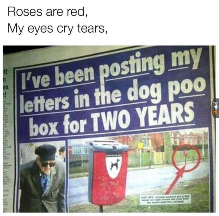 Definicja shitpostingu