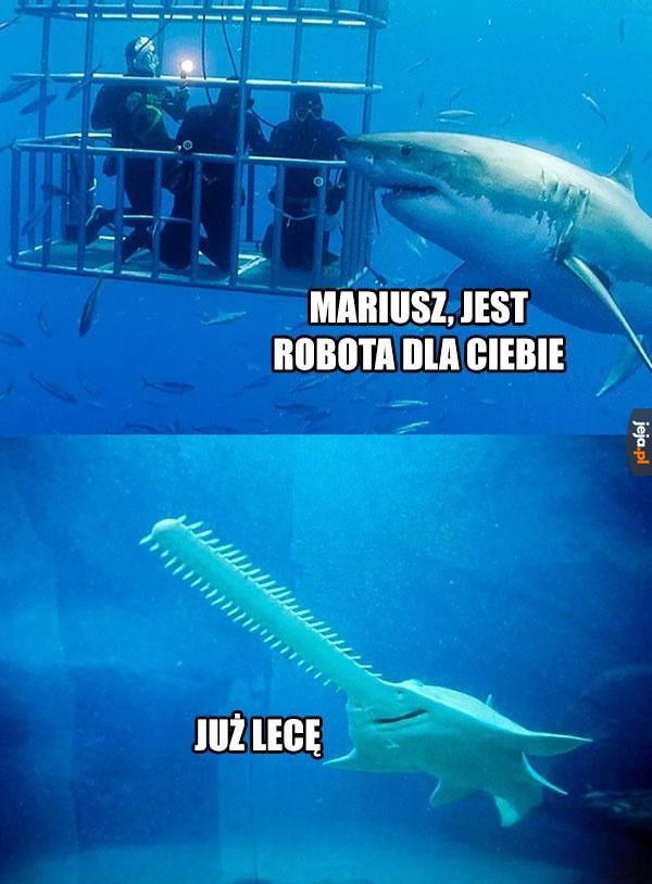 Nadchodzę!