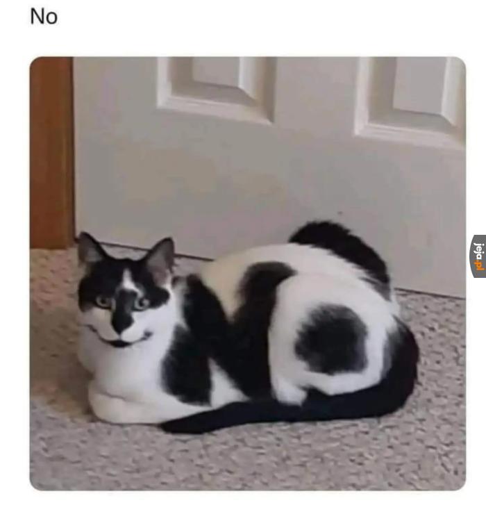 Nie