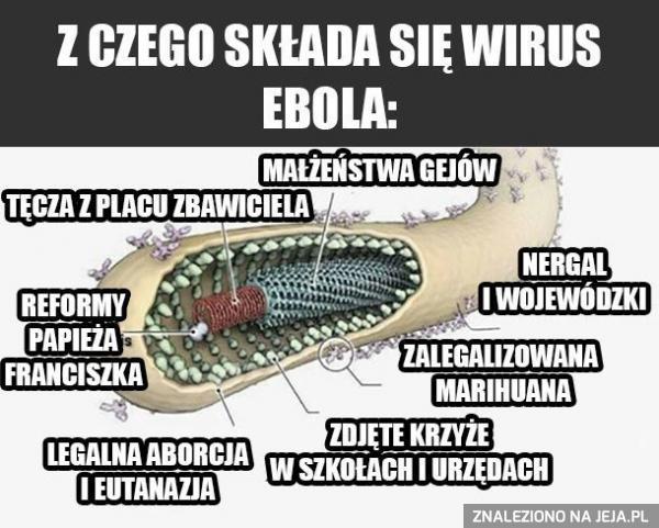 Wirus ebola