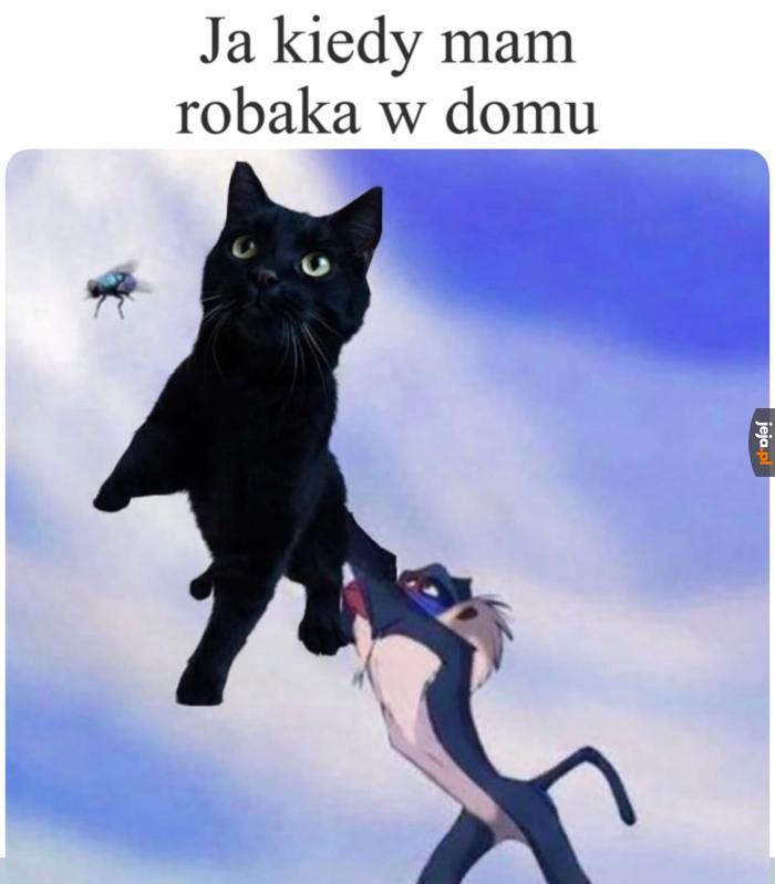 Puszek pomóż