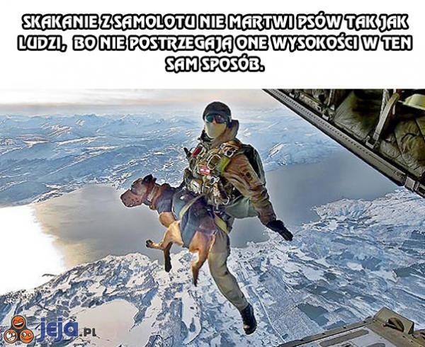 Skakanie z samolotu nie martwi psów tak jak ludzi