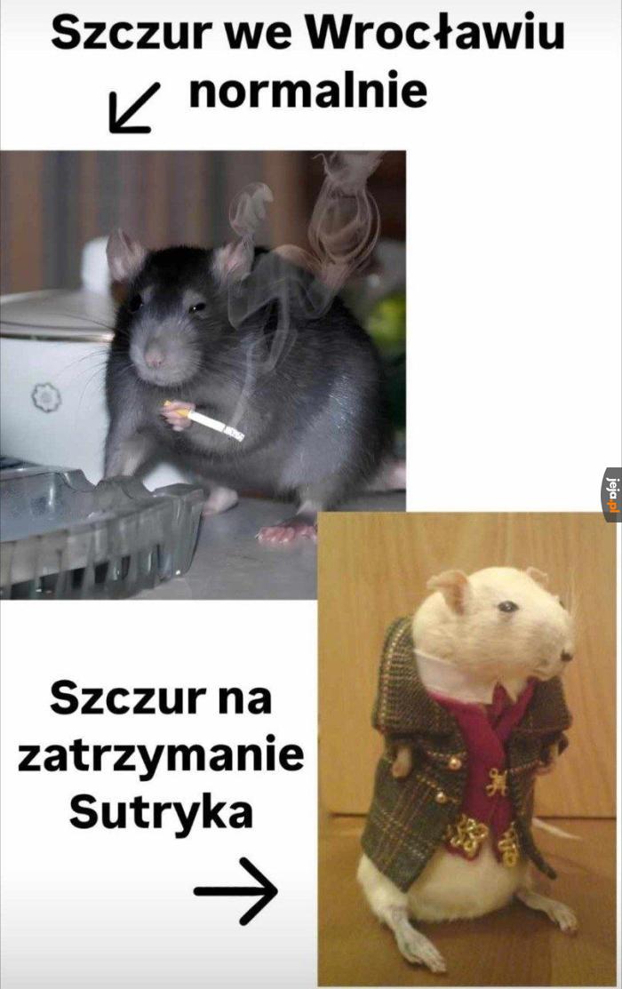 No to niezły kanał