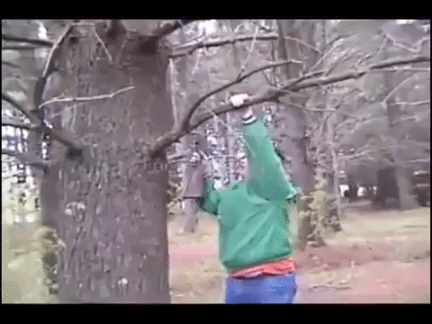 Rambo - początki