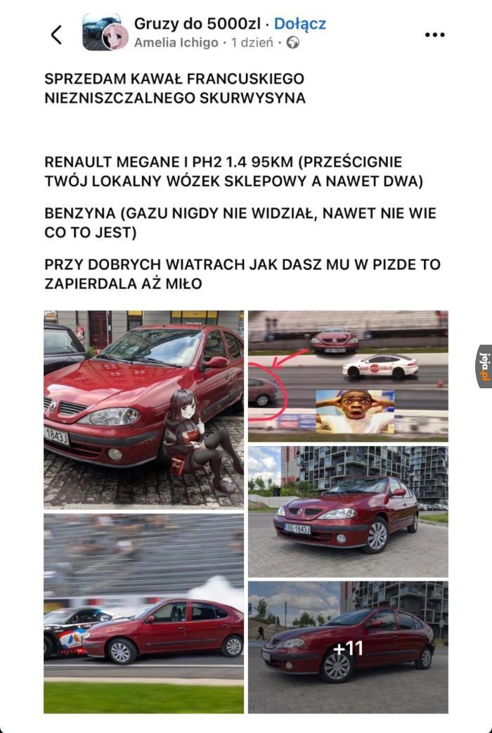 Polecam