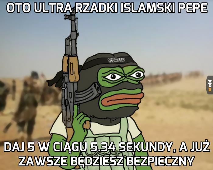 Ultra Rzadki Islamski Pepe