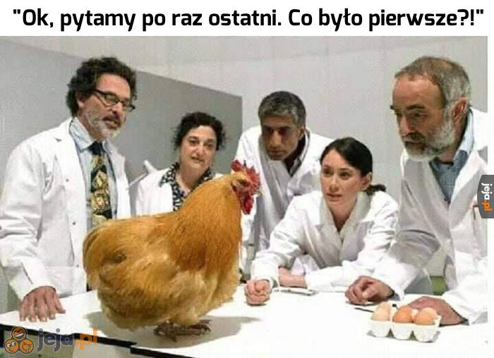 Jajko czy kura?