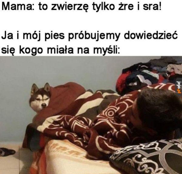 To trzeba na spokojnie poleżeć