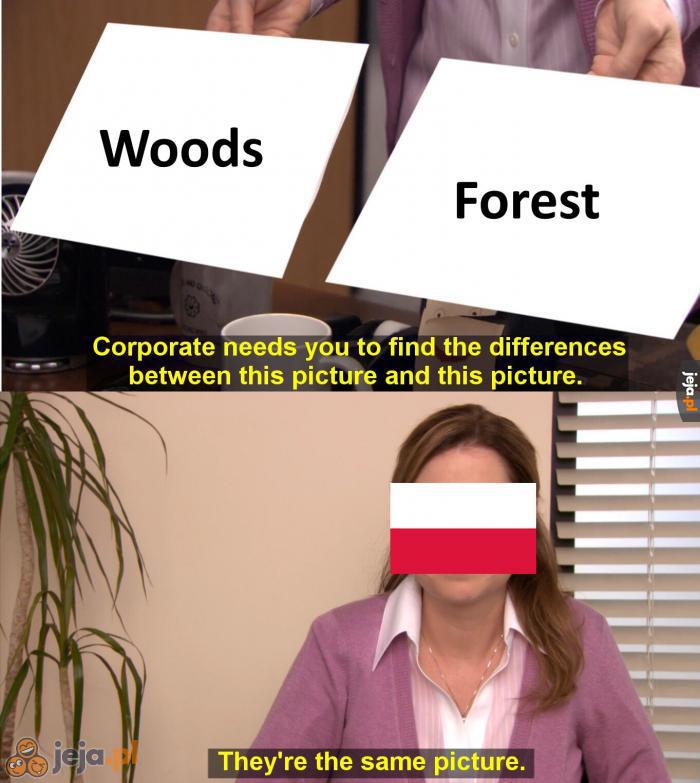 Gdzie pieniądze są za woods / forest?