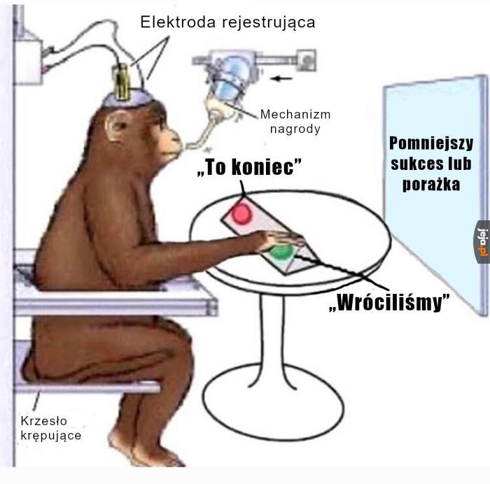 I tak to się toczy