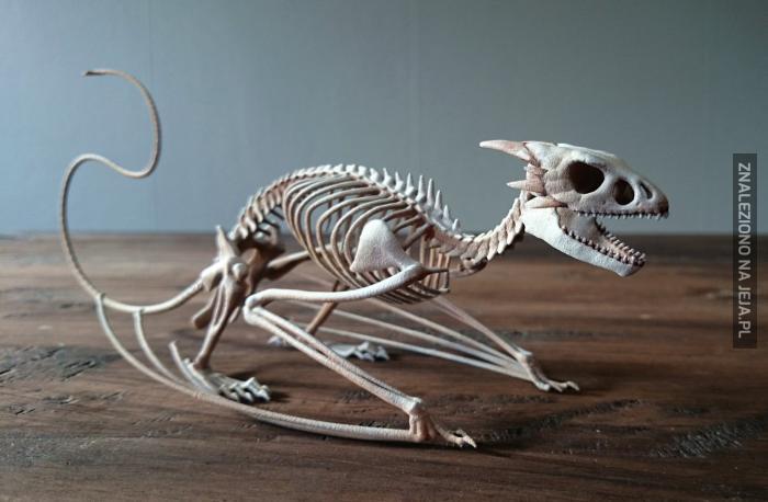 Szkielet wiwerny wydrukowany w 3D