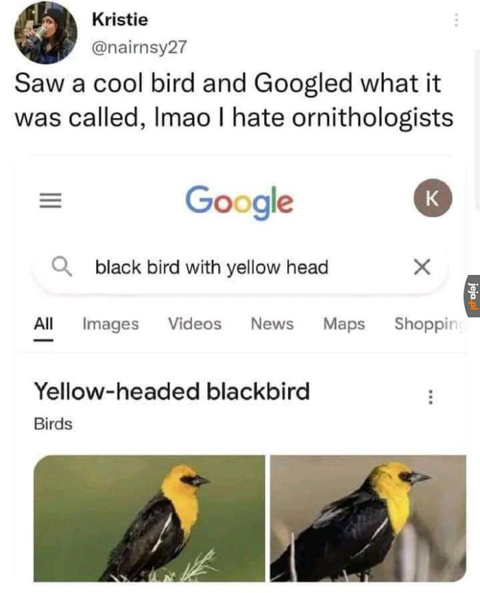 Nazwy ptaków często nie są zbyt oryginalne